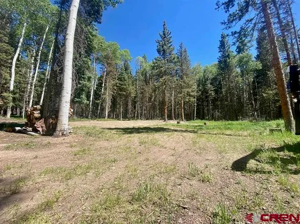 1772 Spruce Road, Cimarron, CO 81220