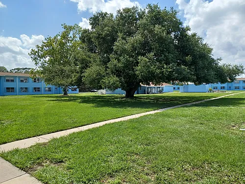 New Smyrna Beach Apartments Photo 1