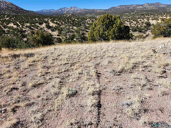3rd image of 1-0000 State Highway 169