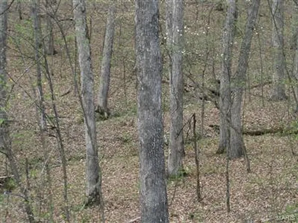 22 Marks Crossing Ln, Warrenton, MO 63383