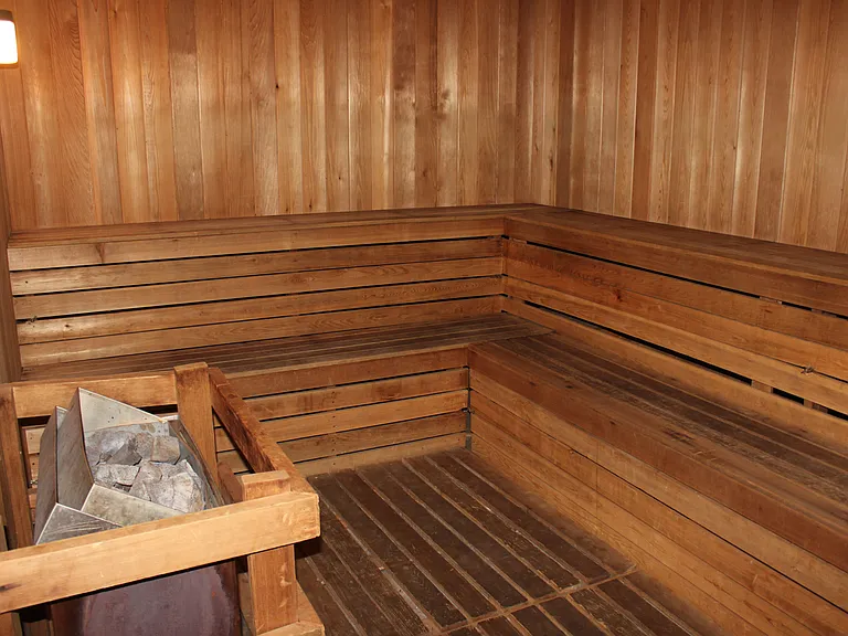 Dry sauna