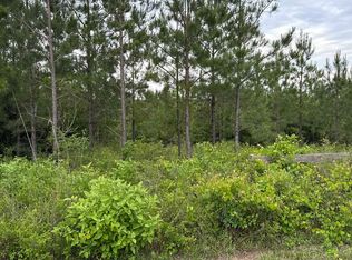 0 NW Church Rd, Altha, FL 32421