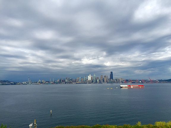 View from Living Room