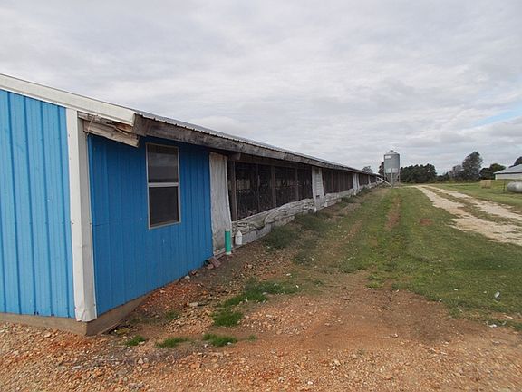 Turkey Farm 