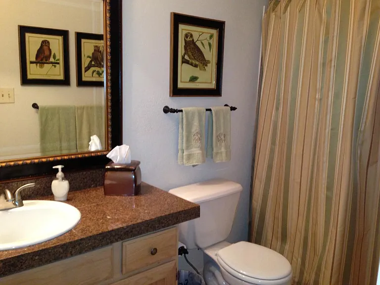 Guest Bathroom