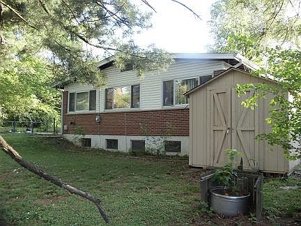 BackYard and Shed