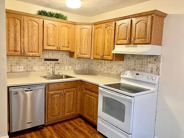 Modern kitchen. Dishwasher, disposal, stove oven, fridge