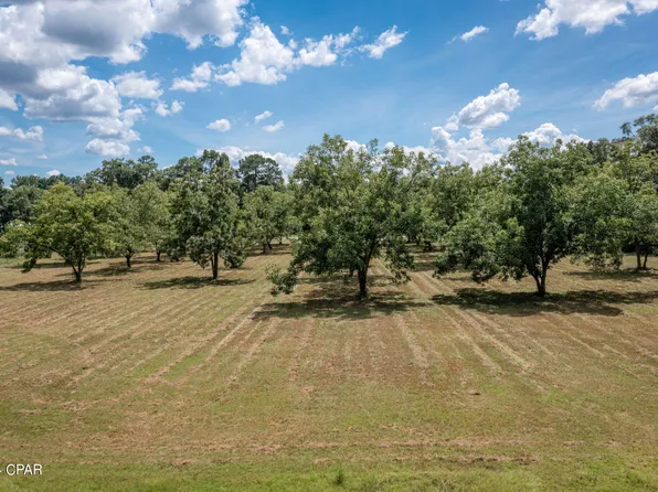 0 Highway 2, Graceville, FL 32440