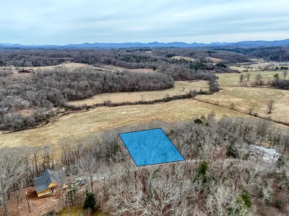 Barnes Chapel Rd, Blue Ridge, GA 30513