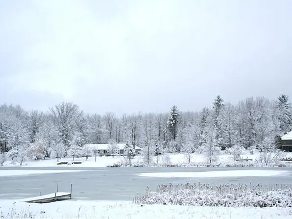 9632 Fawn Lake Dr #691, Stanwood, MI 49346