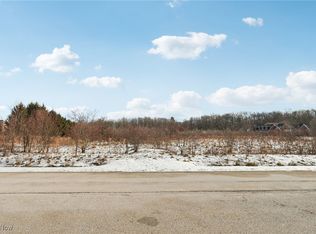 15665 Harmony Falls Ln, Novelty, OH 44072