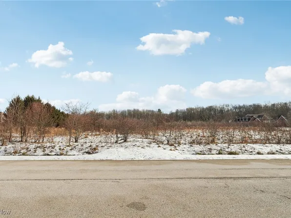 15665 Harmony Falls Ln, Novelty, OH 44072