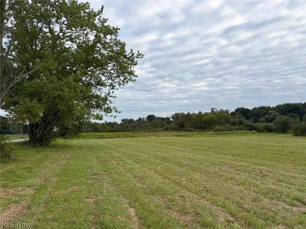Bassinger Rd, North Lima, OH 44452