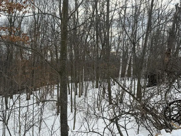 180th Ave, Balsam Lake, WI 54810