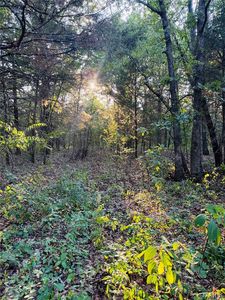 Spruce St, Bourbon, MO, 65441