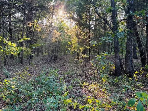 Spruce St, Bourbon, MO 65441