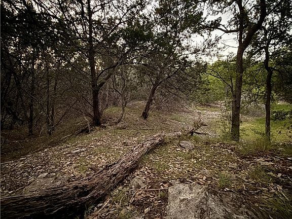 5th image of 1059 Summit Blf