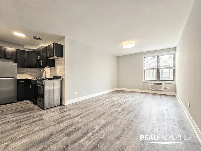 445 W Barry — Photo 7