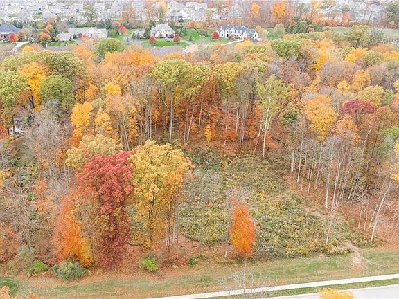 3rd image of 11552 Willow Springs Dr