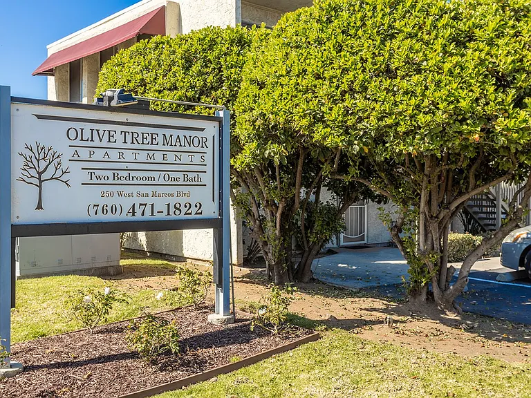Olive Tree Manor — Photo 13