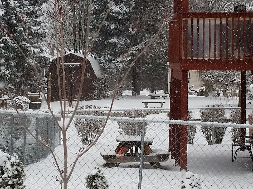 Fenced in back yard