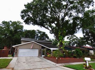 3821 Cloverhill Ct, Brandon, FL 33511