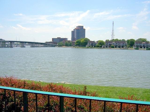 The view from the condo