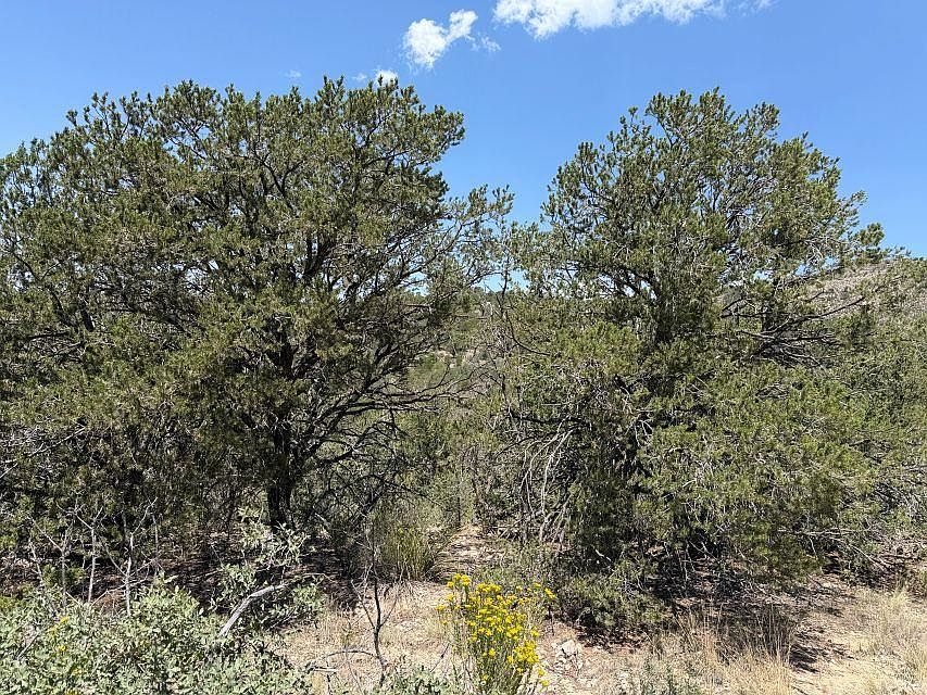 2nd image of Canyon Dr