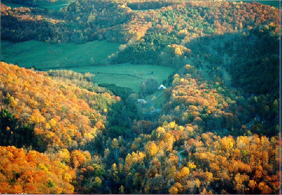 property Hogback Mtn