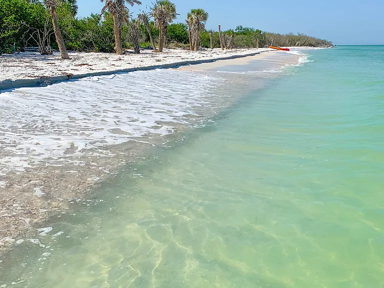 Honeymoon Island beach. 4 miles long.