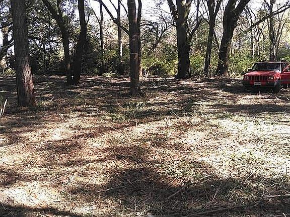 Cleared trees few years ago