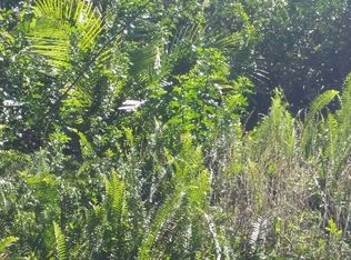 Kaiwa St LOT 177, Pahoa, HI 96778