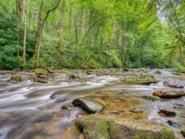 206 Toms Creek Cir, Roan Mountain, TN 37687