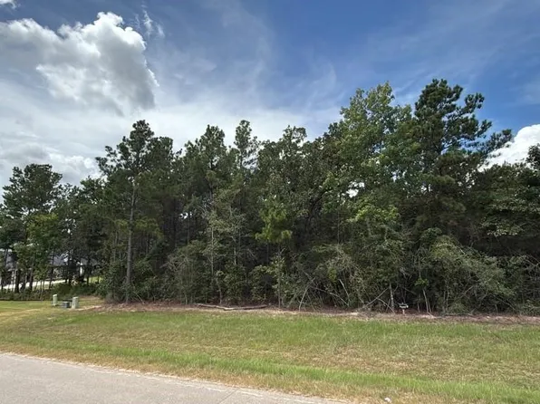 7621 Trinity Pines Dr, Montgomery, TX 77316
