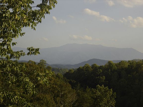 the view off the porch