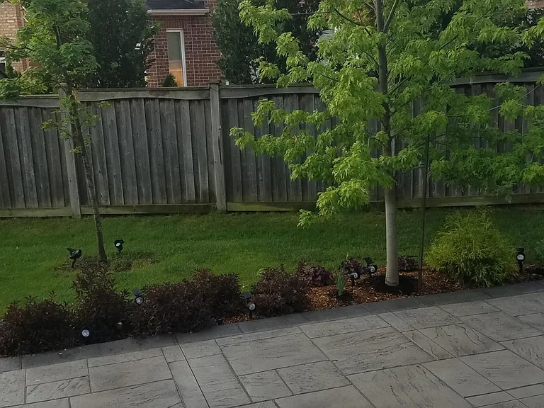Large backyard patio. The basement apartment is connected to a large professionally landscaped lawn/garden, this patio and the whole backyard has been landscaped with around 40 high end solar lights to provide beautiful lighting at night. Full access to