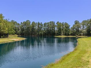 23 S Bayou Club Ct, Spring, TX 77389