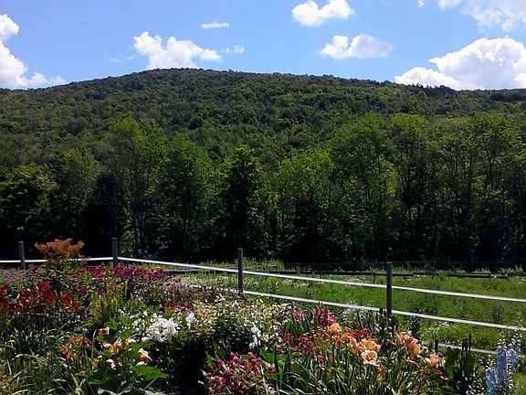 gardens, paddocks, woods