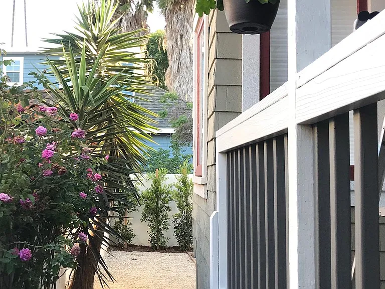 A view of the side yard passage looking toward the back yard.