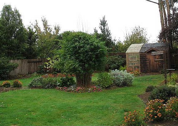 1528 Meadow Brooke Pl. back yard 1