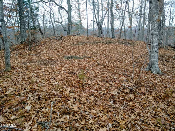 0 New Hope Rd, Sneedville, TN 37869