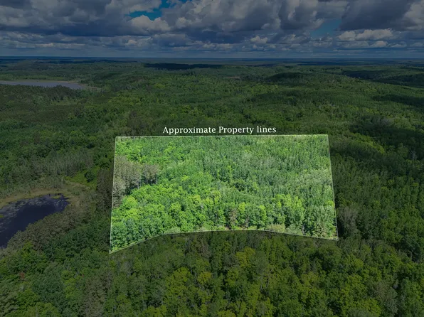 LOT County Road 533 #B, Effie, MN 56639