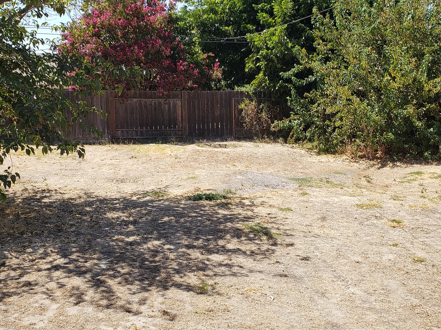 2 bed, 884 sqft, $1,750 — Photo 4