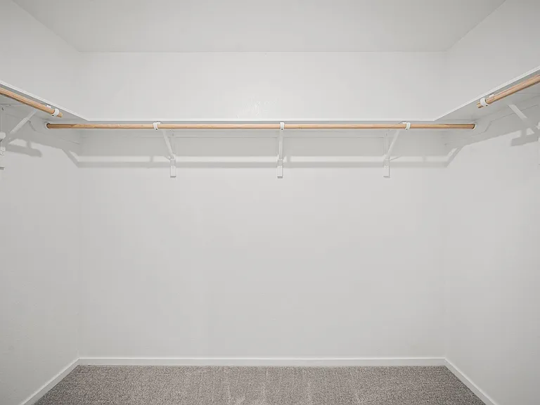 702 Umbrella Tree Dr — Photo 16