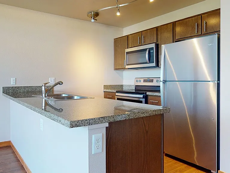 Apartment Kitchen with Stainless Steel Appliances, Granite-style Countertops and Wood-Style Flooring.