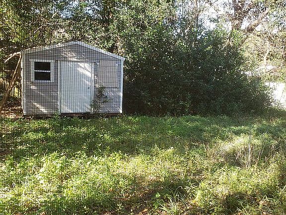 Large shed and back yard