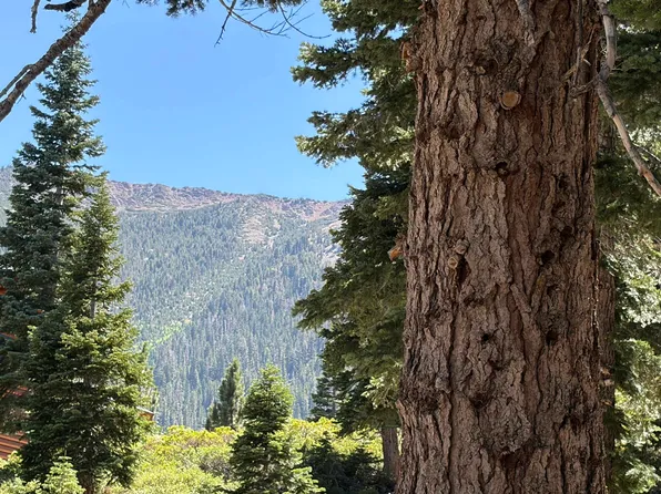 328 Tamarack St, Mammoth Lakes, CA 93546