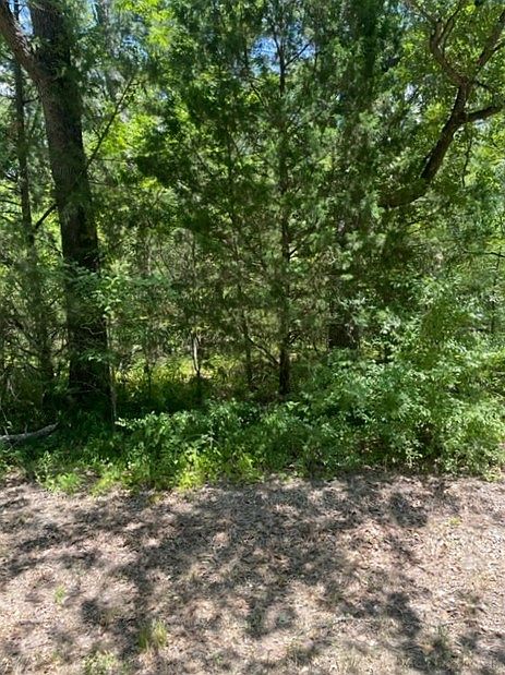 1st image of E Beachwood Dr