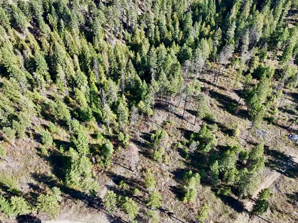 LOT 4 Deadman Creek Rd, Kettle Falls, WA 99141