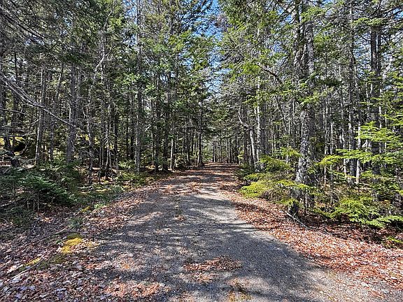 3rd image of 185 Coffins Neck Road